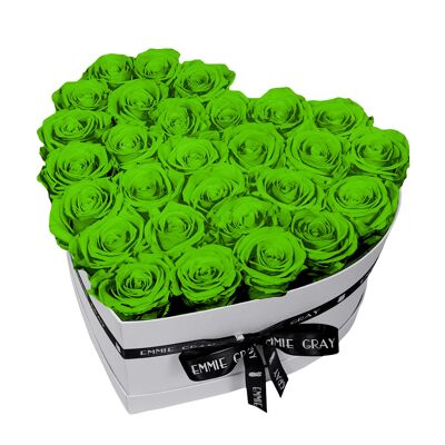 Classic Infinity Rose Box | Green Glow | L