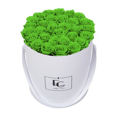 Classic Infinity Rose Box | Green Glow | L