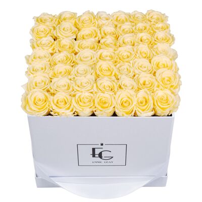 Classic Infinity Rose Box | Champagne | L