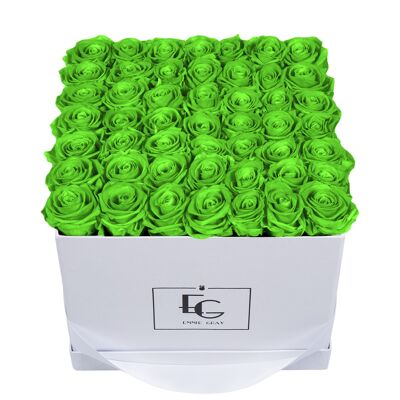 Caja Rosa Infinito Clásica | resplandor verde | L