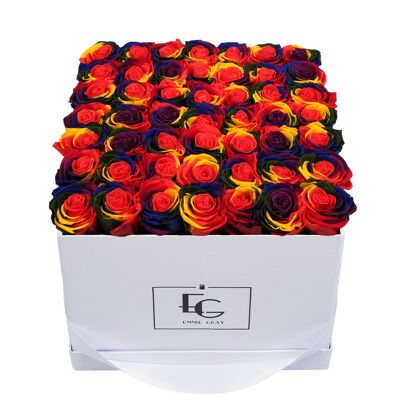 Boîte Rose Infini Classique | Arcs-en-ciel | L