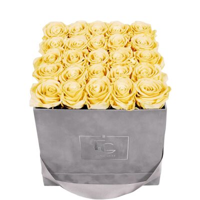 Classic Infinity Rosebox | Champagne | M