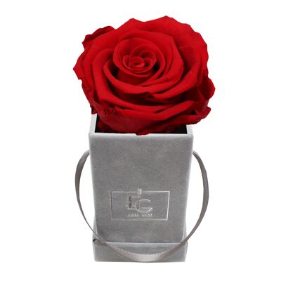 Classic Infinity Rose Box | Vibrant Red | XXS