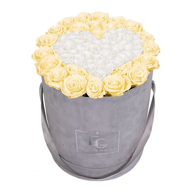 Cuore Simbolo Infinity Rosebox | Champagne e bianco puro | l