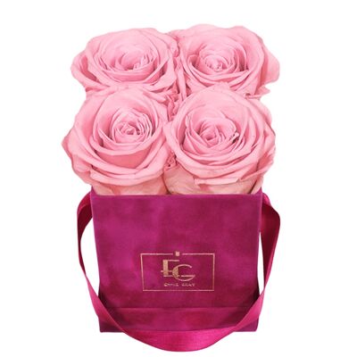 Classic Infinity Rose Box | Bridal Pink | XS