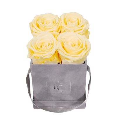 Classic Infinity Rose Box | Champagne | XS