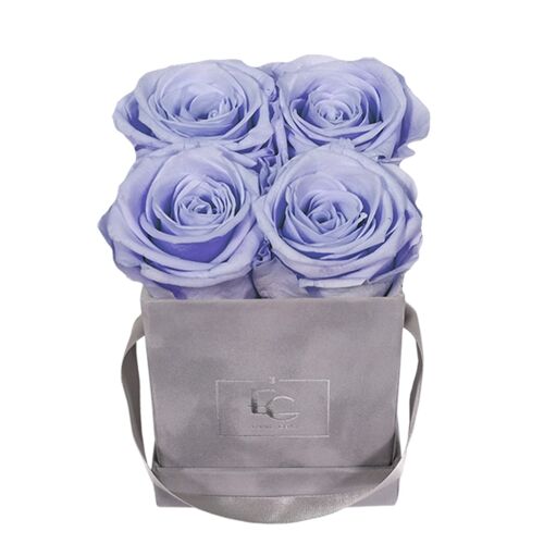 Classic Infinity Rosebox | Cool Lavender | XS