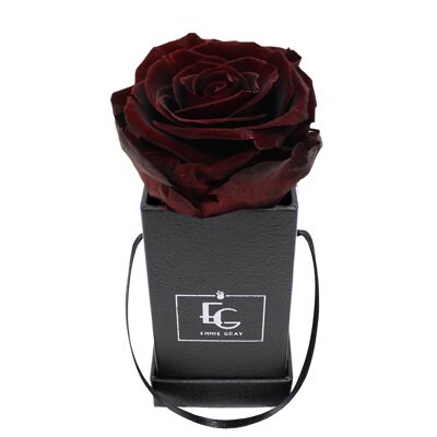 Classic Infinity Rose Box | Burgundy | XXS