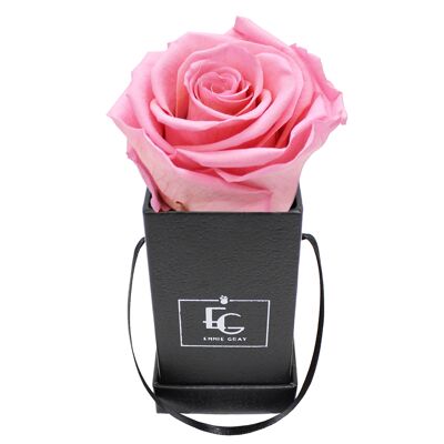 Classic Infinity Rosebox | Bridal Pink | XXS