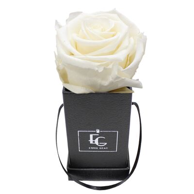 Classic Infinity Rose Box | Pure White | XXS