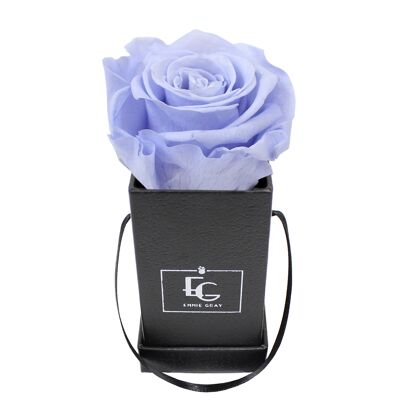 Classic Infinity Rosebox | Cool Lavender | XXS