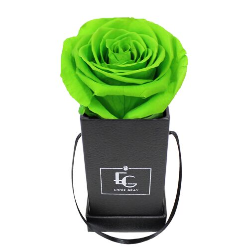 Classic Infinity Rosebox | Green Glow | XXS