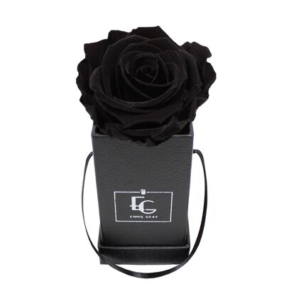 Classic Infinity Rosebox | Black Beauty | XXS