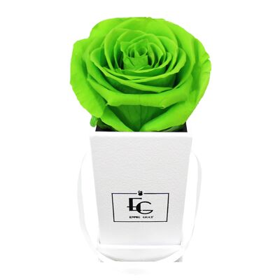 Boîte Rose Infini Classique | lueur verte | XXS