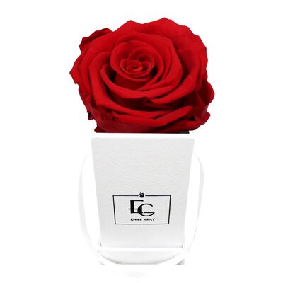 Classic Infinity Rose Box | Vibrant Red | XXS