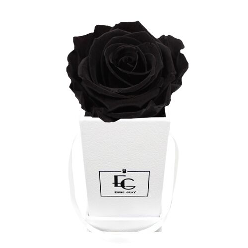 Classic Infinity Rosebox | Black Beauty | XXS