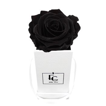 Boîte Rose Infini Classique | Beauté noire | XXS