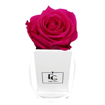 Classic Infinity Rose Box | hot pink | XXS