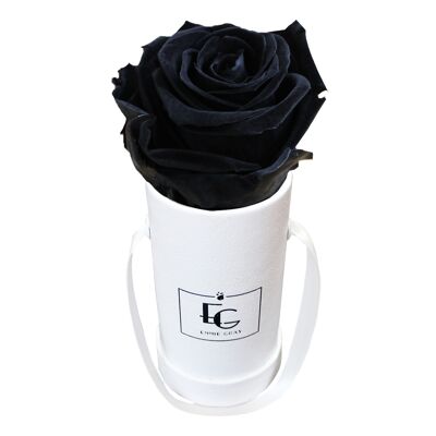 Classic Infinity Rosebox | Black Beauty | XXS