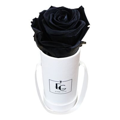 Classic Infinity Rose Box | Black Beauty | XXS