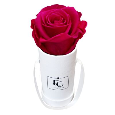 Classic Infinity Rose Box | hot pink | XXS