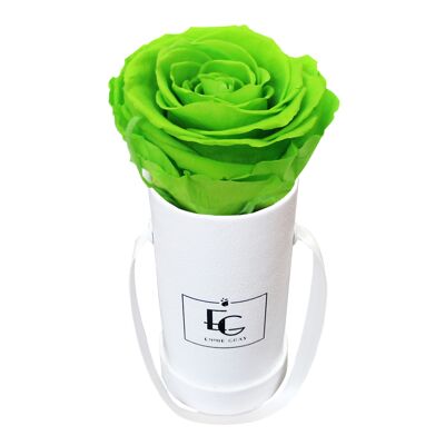 Scatola classica rosa infinita | Bagliore verde | XXS