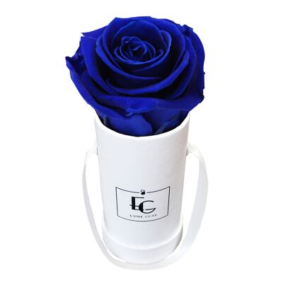 Boîte Rose Infini Classique | Bleu océan | XXS