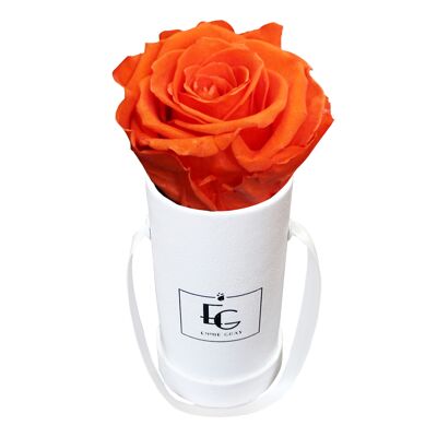 Classic Infinity Rose Box | Orange Flame | XXS
