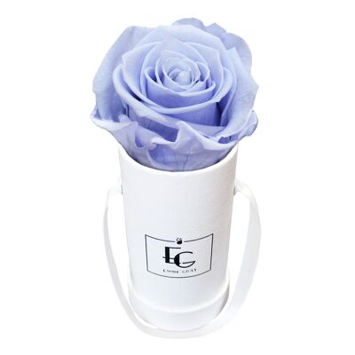 Classic Infinity Rosebox | Cool Lavender | XXS