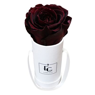 Boîte Rose Infini Classique | Bourgogne | XXS