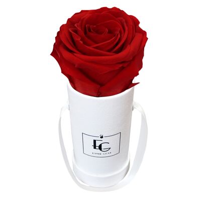 Boîte Rose Infini Classique | Rouge vif | XXS