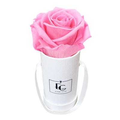 Classic Infinity Rose Box | Bridal Pink | XXS