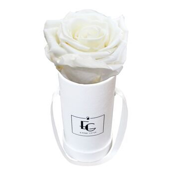 Boîte Rose Infini Classique | Blanc pur | XXS