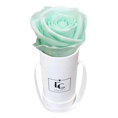 Boîte Rose Infini Classique | Vert Menthe | XXS