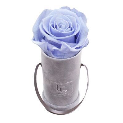 Classic Infinity Rosebox | Cool Lavender | XXS