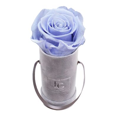 Classic Infinity Rose Box | Cool Lavender | XXS
