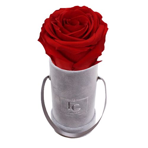Classic Infinity Rosebox | Vibrant Red | XXS
