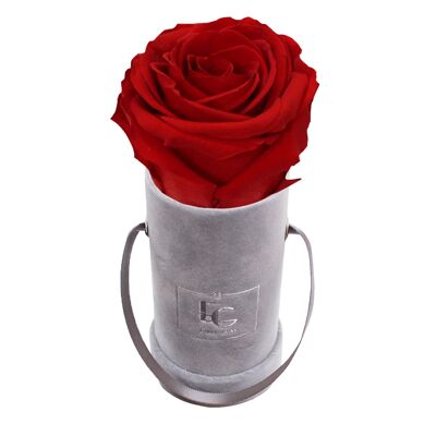 Classic Infinity Rose Box | Vibrant Red | XXS