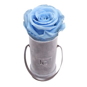 Boîte Rose Infini Classique | Bleu bébé | XXS