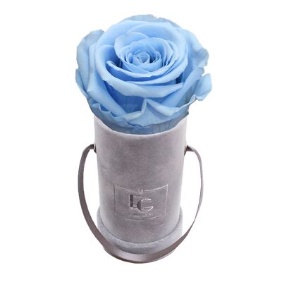 Classic Infinity Rose Box | Baby Blue | XXS