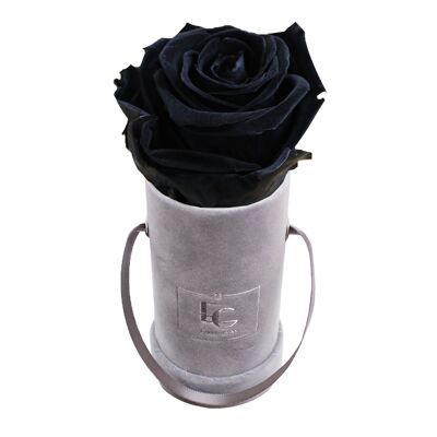 Classic Infinity Rose Box | Black Beauty | XXS