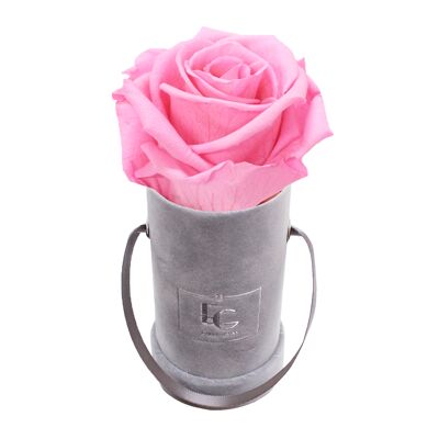 Boîte Rose Infini Classique | Rose nuptiale | XXS