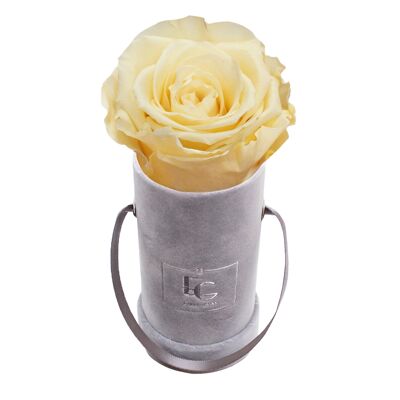 Classic Infinity Rose Box | Champagne | XXS