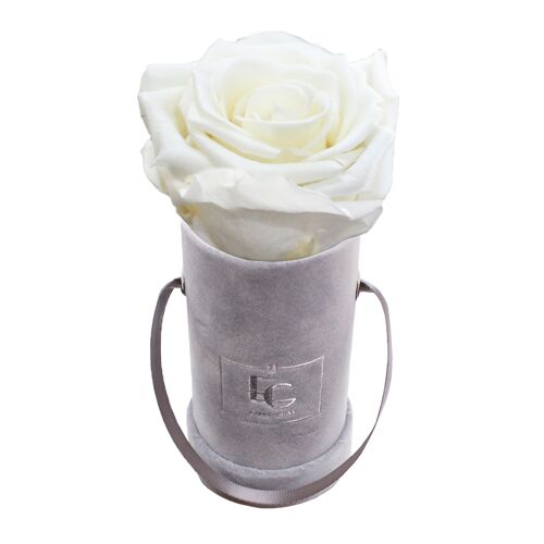 Classic Infinity Rosebox | Pure White | XXS