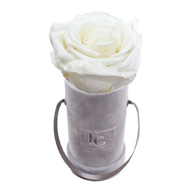 Classic Infinity Rose Box | Pure White | XXS