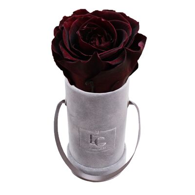 Classic Infinity Rose Box | Burgundy | XXS