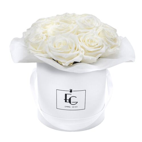 Splendid Infinity Rosebox | Pure White | S