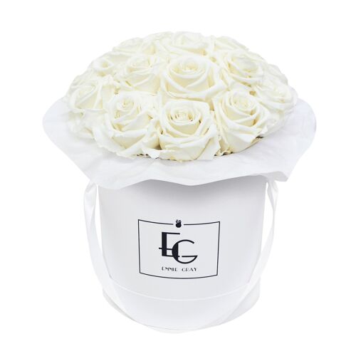 Splendid Infinity Rosebox | Pure White | M