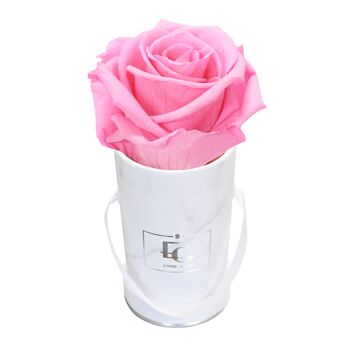 Boîte Rose Infini Classique | Rose nuptiale | XXS