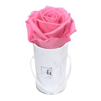 Boîte Rose Infini Classique | bébé rose | XXS